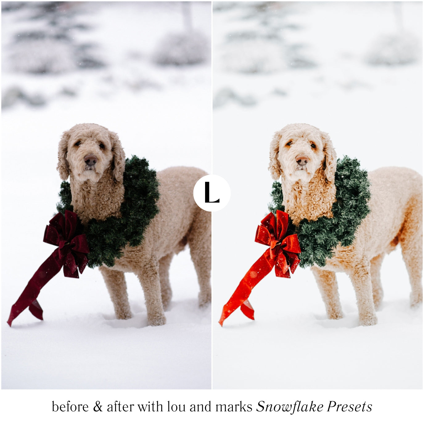 Snowflake Christmas Photo Presets And Winter Lightroom Presets For Adobe Lightroom Mobile And Desktop By Lou And Marks Presets