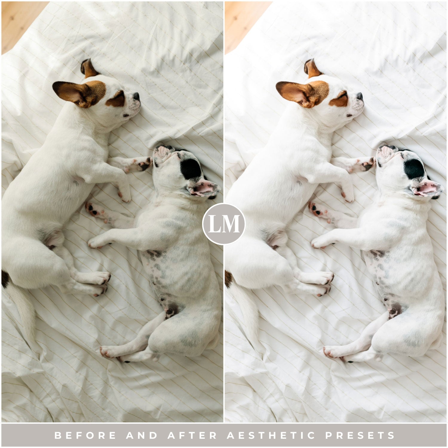 Aesthetic instagram Lightroom Presets The Best Photo Editing Preset Filters For Lightroom Mobile And Desktop For Photographers and Instagram Influencers By Lou And Marks Presets