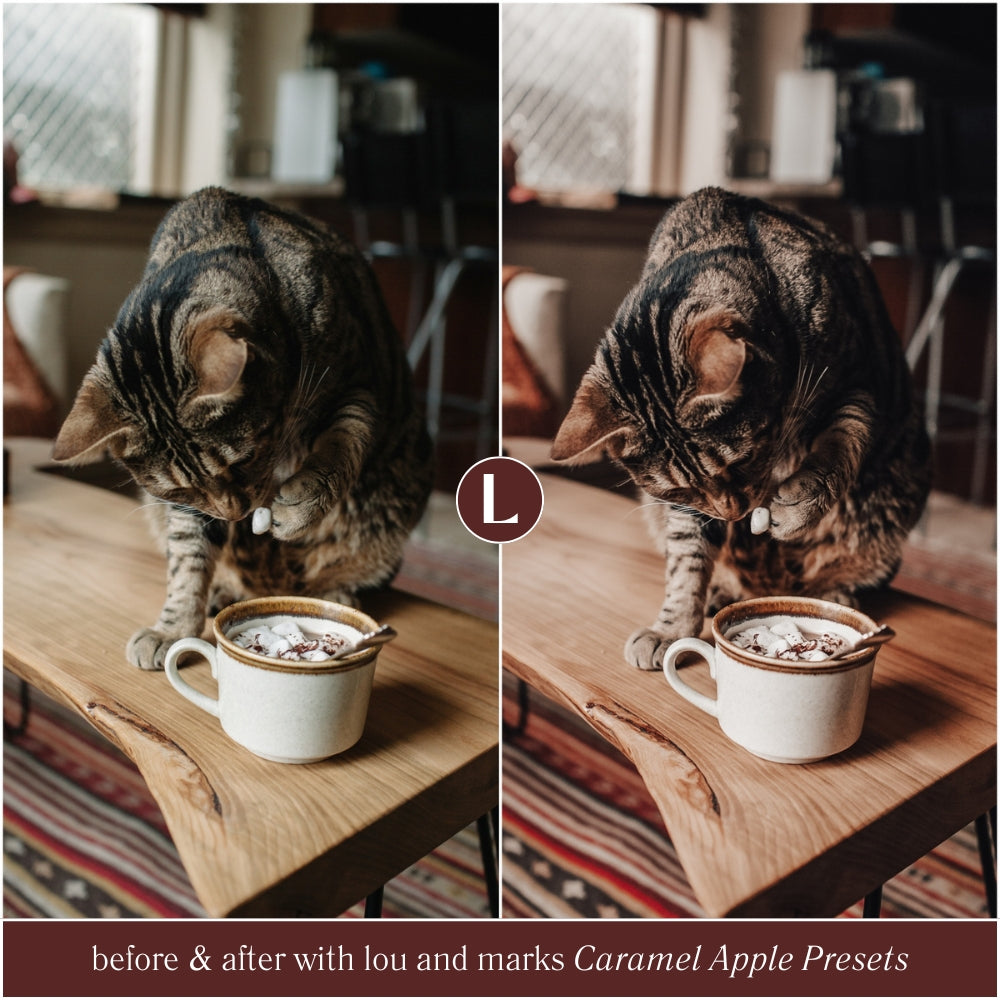 Best Selling Caramel Apple Christmas Lightroom Presets The Best Photo Editing Preset Filters For Christmas And Winter Holiday Photos with Adobe Lightroom Mobile And Desktop For Photographers and Instagram Influencers By Lou And Marks Presets Decor