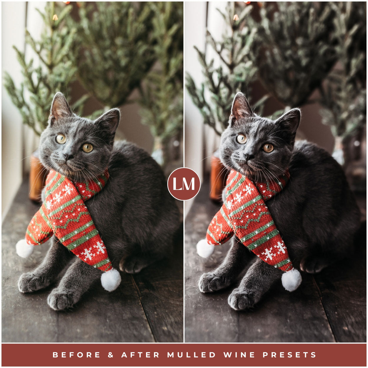 Mulled Wine Lightroom Presets For Best Christmas And Winter Photo Editing In Adobe Lightroom By Lou And Marks Presets For Pets