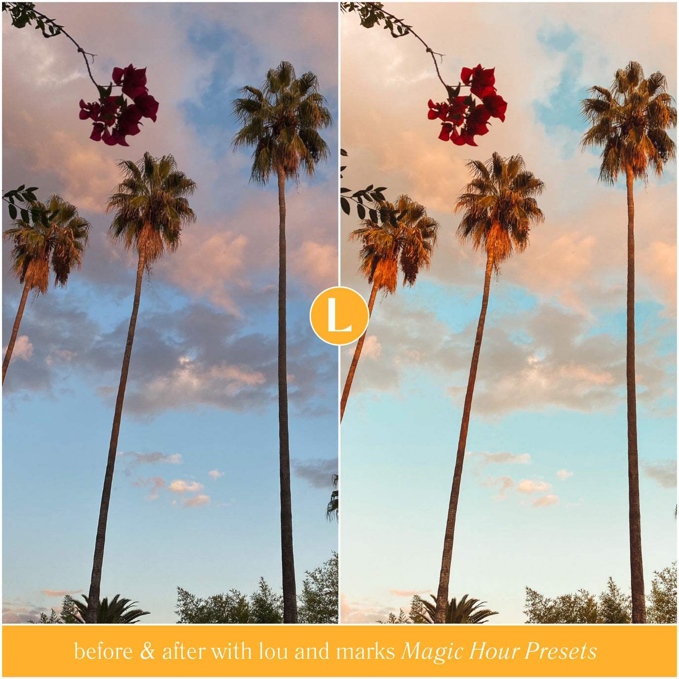 Magic Hour Disney Golden Hour Lightroom Presets By Lou And Marks