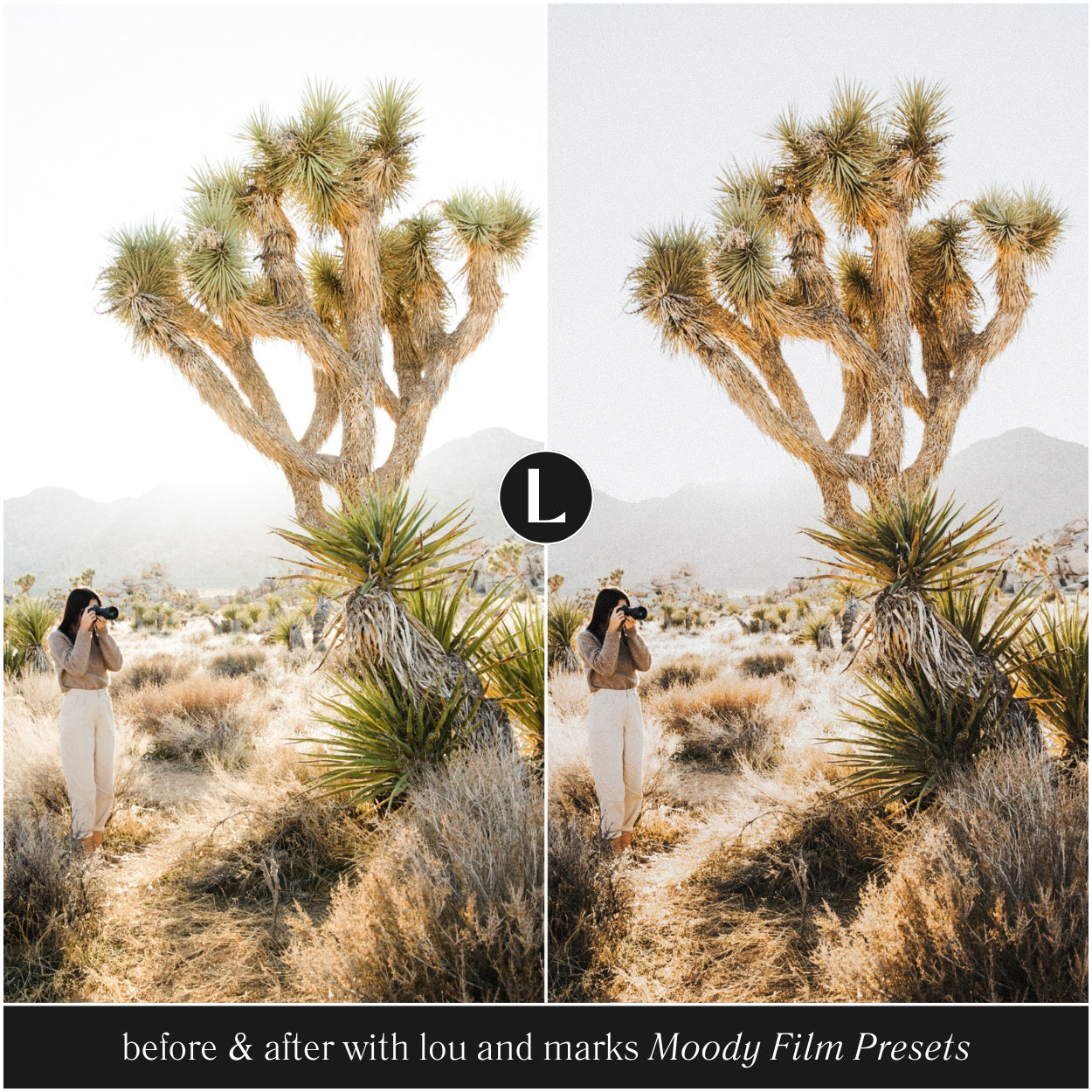 Photo Presets Moody Film Lightroom Presets For Photographers And Photo Presets For Instagram By Lou And Marks Presets