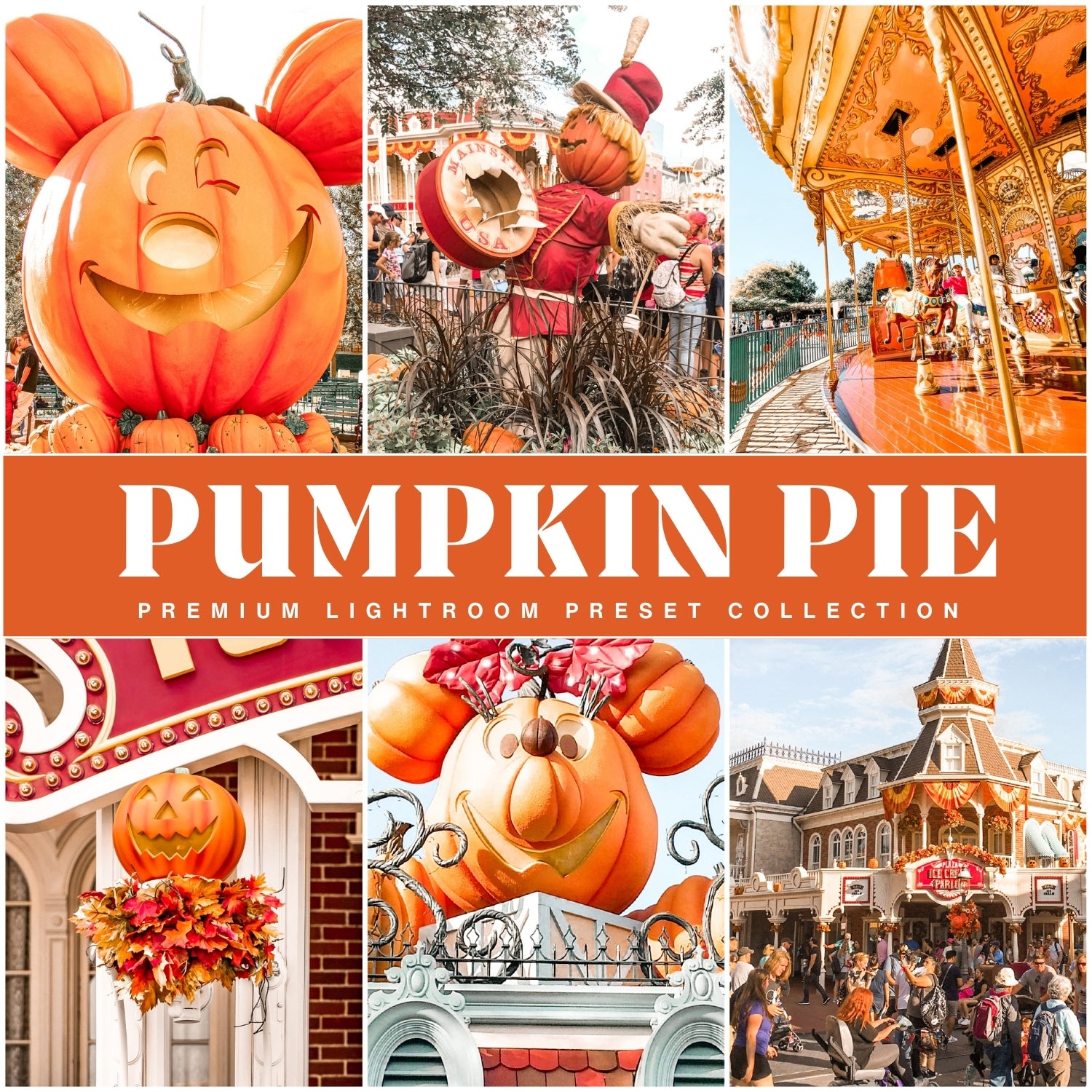 Best Disney Lightroom Presets By Lou And Marks Presets Disney Fall