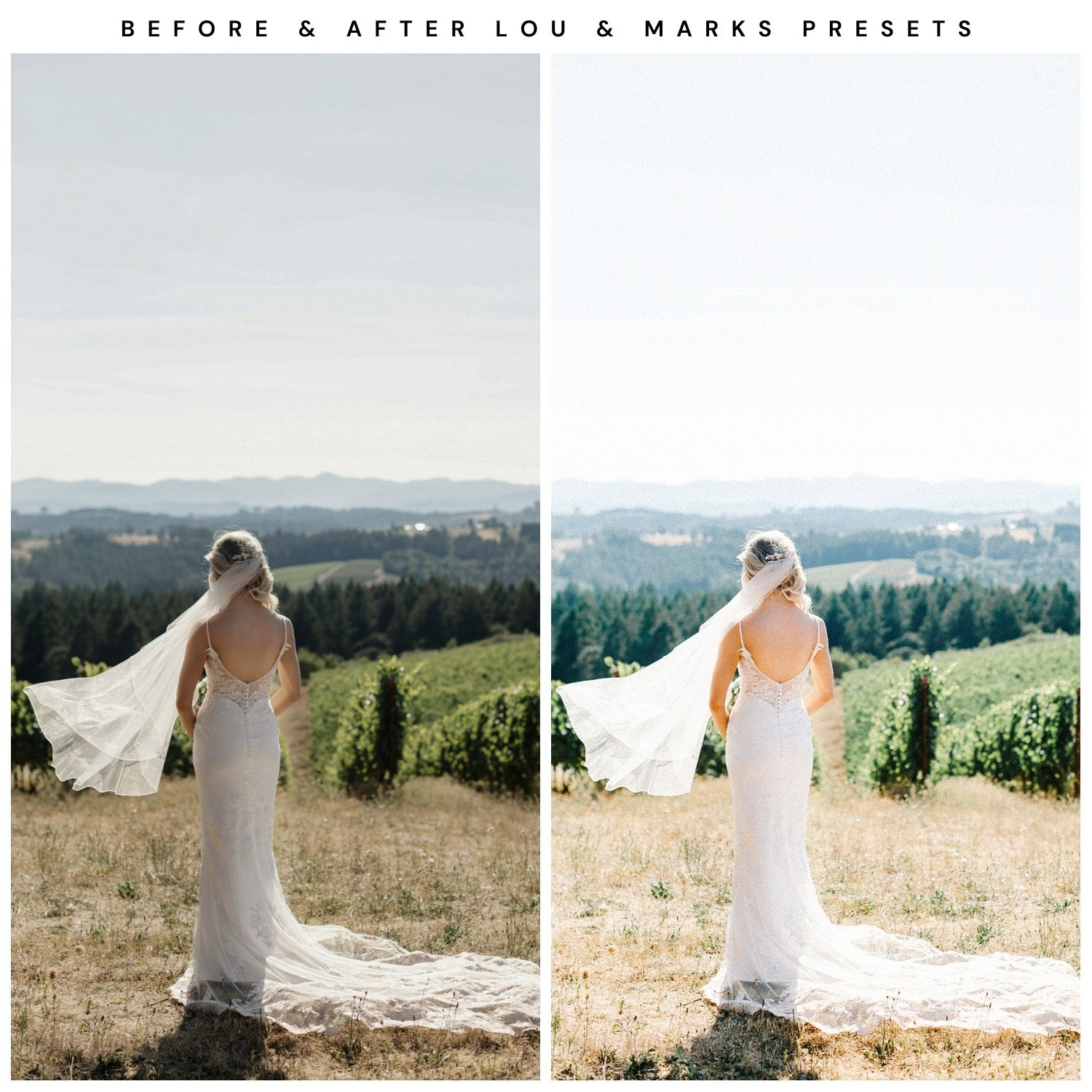 Kodak Portra 400 Film Filter Lightroom Presets For Adobe Lightroom Mobile & Desktop By Lou And Marks Presets wedding