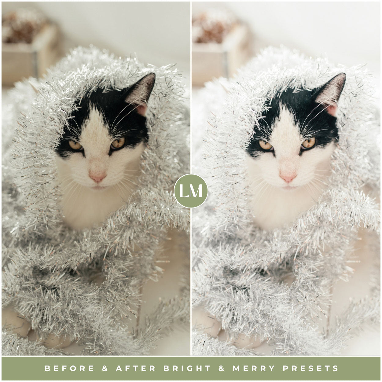 Bright & Merry Christmas Lightroom Presets For holidays and Winter Photo Editing In Adobe Lightroom By Lou And Marks Presets Pets