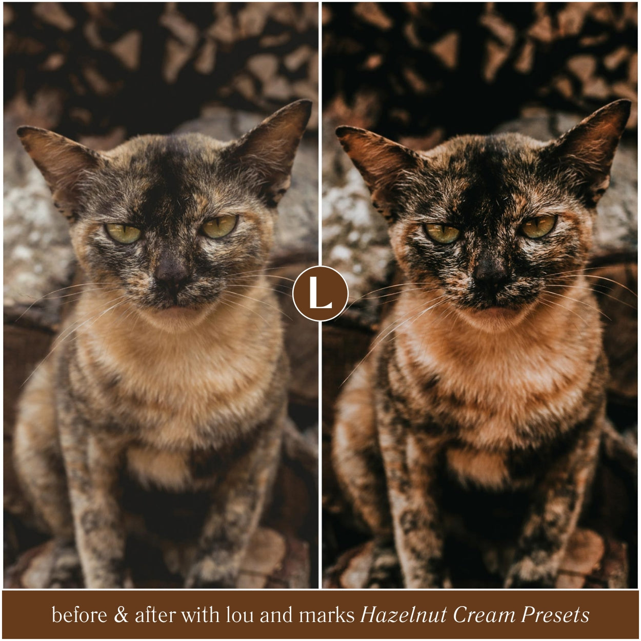 Hazelnut Lightroom Presets by Lou and Marks Presets