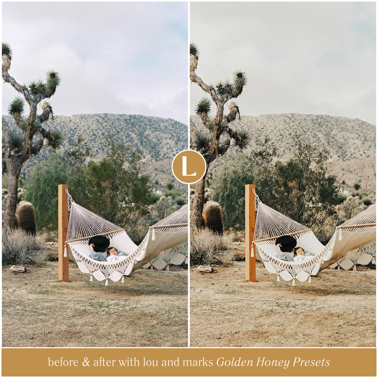 Golden Honey Lightroom Presets by Lou and Marks Presets