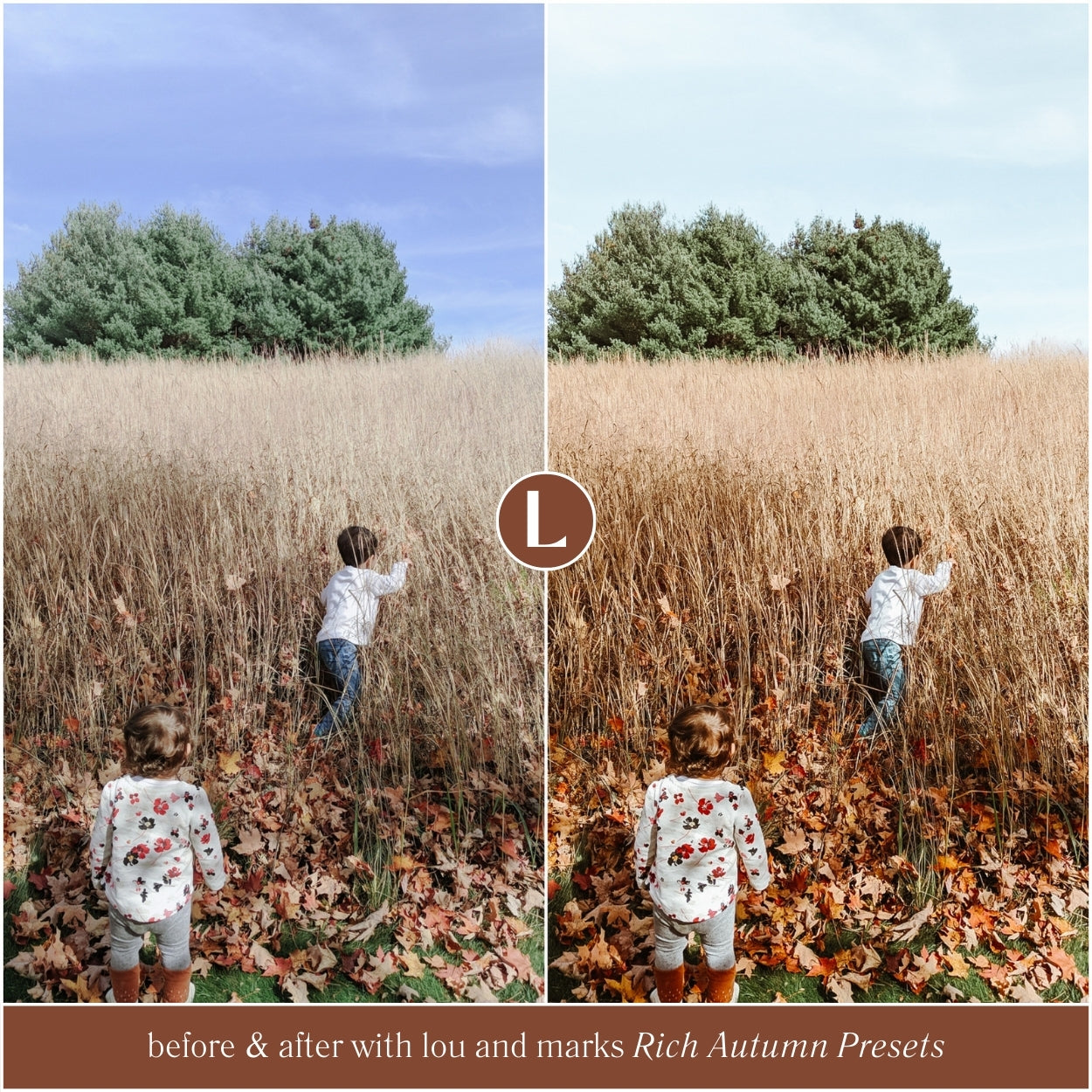 Rich Autumn Presets - Lou & Marks Presets