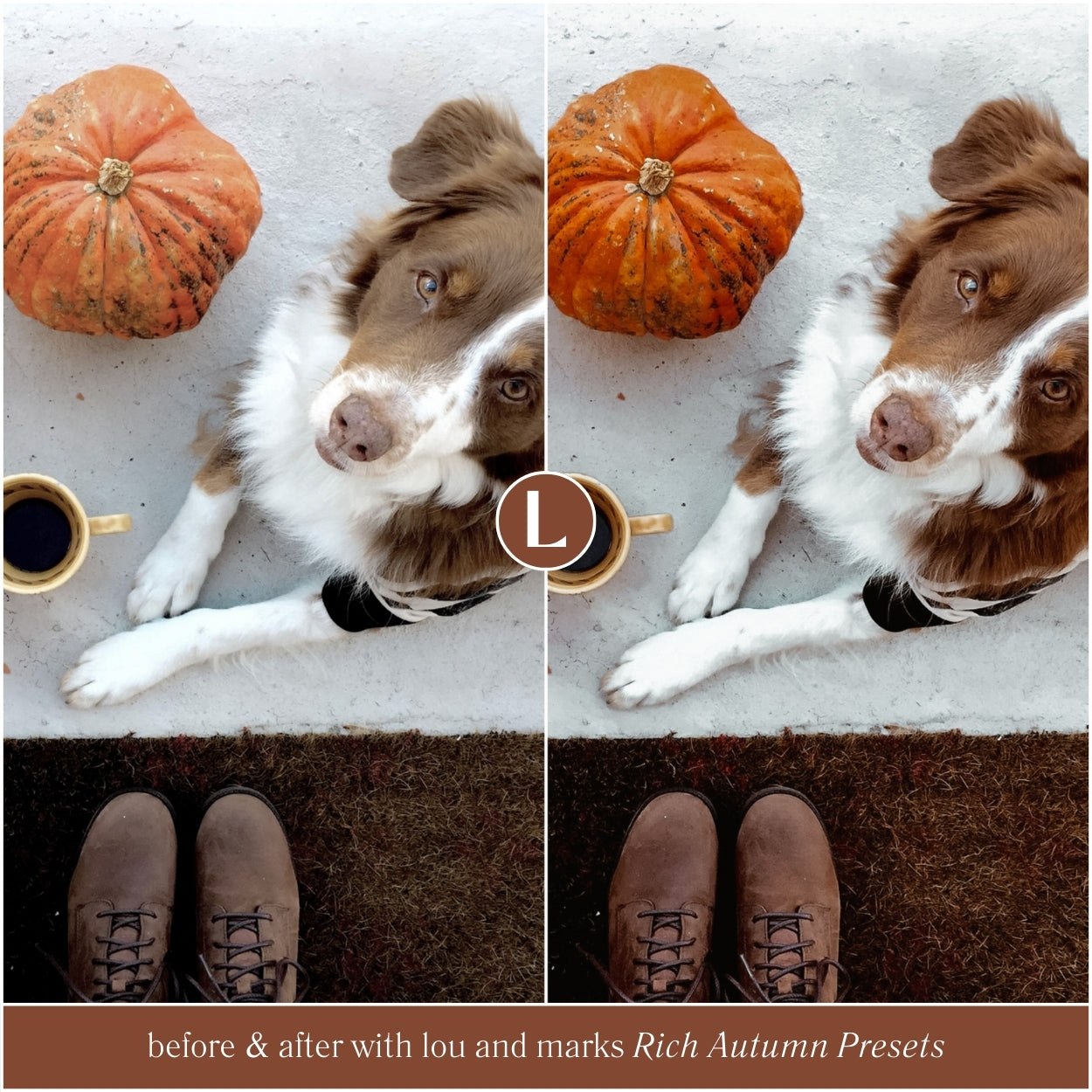 Rich Autumn Presets - Lou & Marks Presets