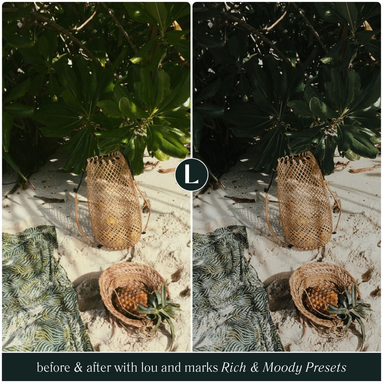 Rich Moody Presets - Lou & Marks Presets