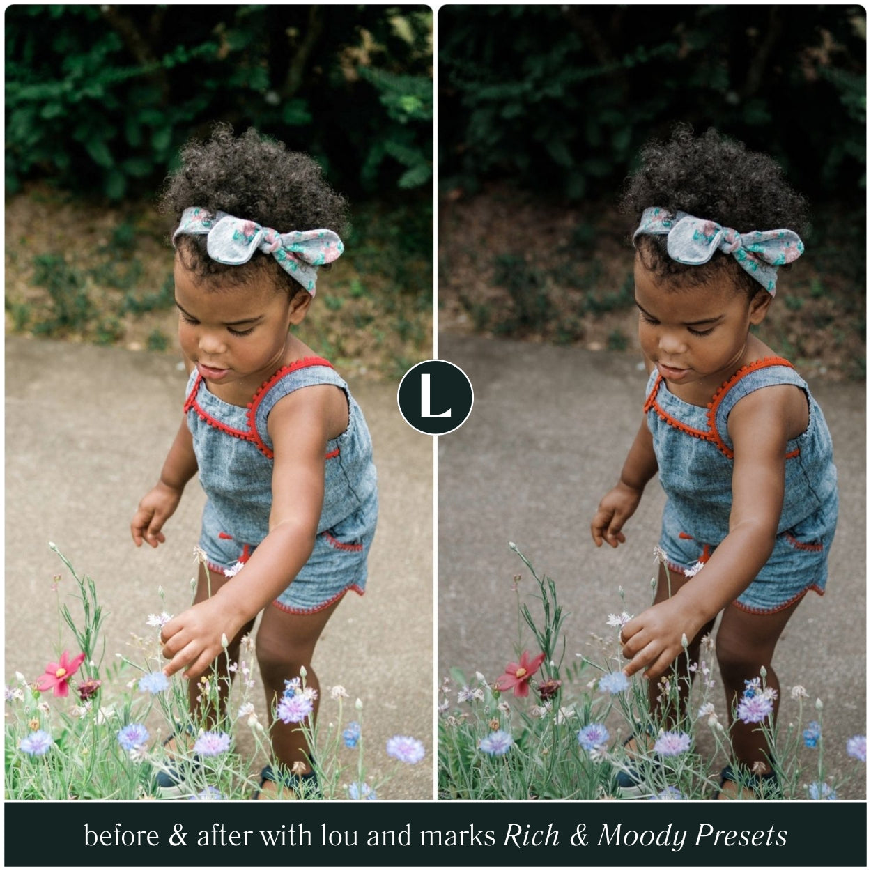 Rich Moody Presets - Lou & Marks Presets
