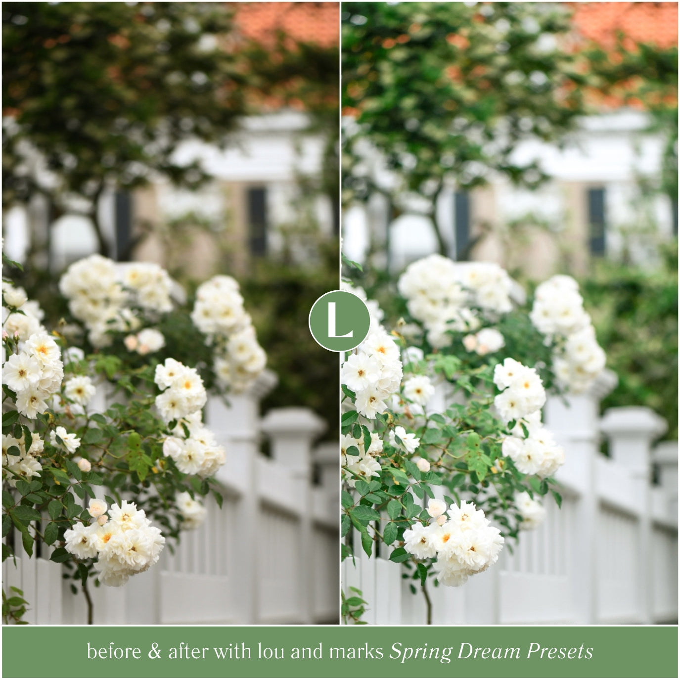 Spring Dream Presets - Lou & Marks Presets